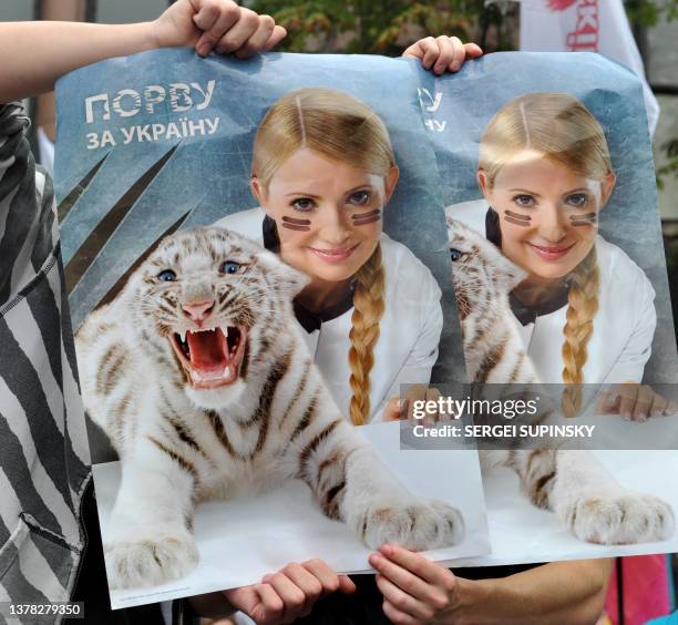 Young people hold placards depicting Ukraine's ex-prime minister Yulia Tymoshenko together with her symbolic talisman tiger cub called TigerYulia and...