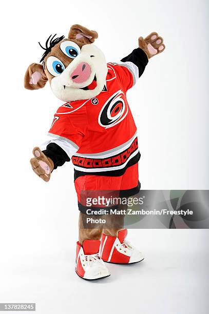 Stormy, mascot for the Carolina Hurricanes, poses for a portrait during 2012 NHL All-Star Weekend at Ottawa Convention Centre on January 26, 2012 in...