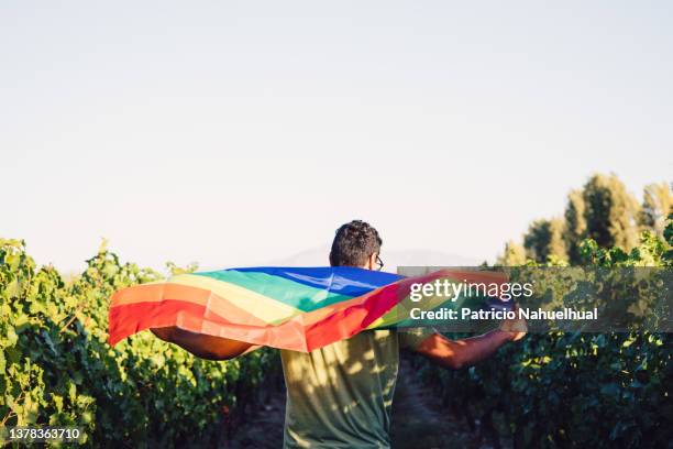 young latino man holding the rainbow pride flag in a rural spot. lgtbiq+ and sexual diversity concept. - marcha atrás imagens e fotografias de stock