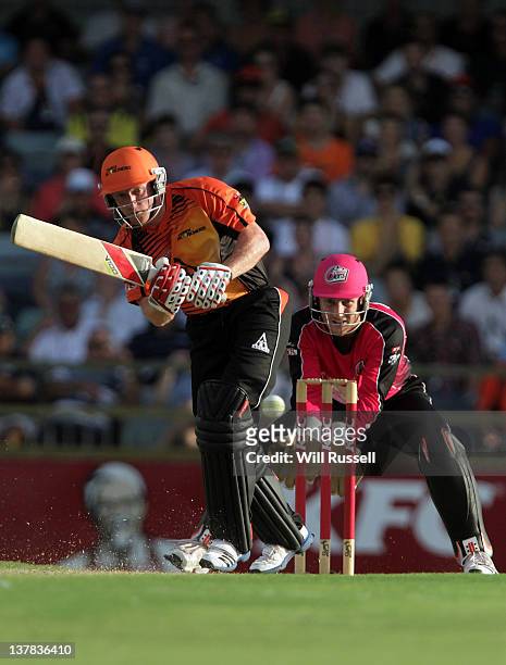 Paul Collingwood of the Scorchers during the T20 Big Bash League Grand Final match between the Perth Scorchers and the Sydney Sixers at WACA on...