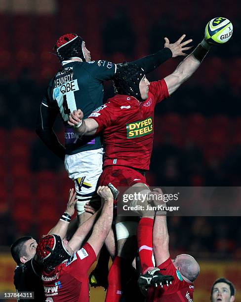 Dominic Day of Scarlets beats Nick Kennedy of London Irish to the line out call during the LV= Cup match between Scarlets and London Irish at Parc y...