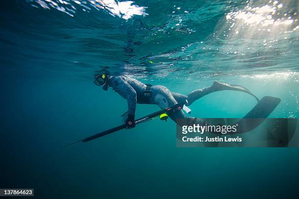 spear diver hunting in the open ocean - speer stockfoto's en -beelden