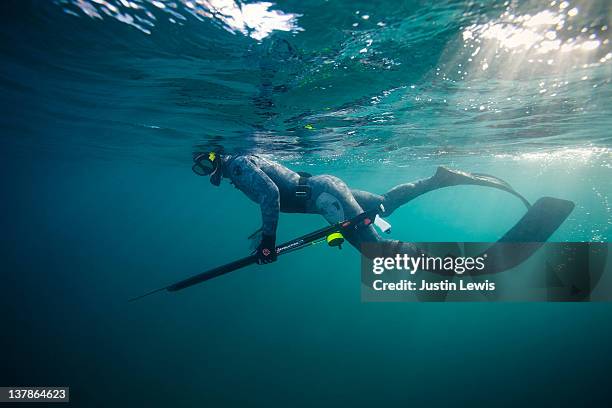 spear diver hunting in the open ocean - spear gun stock pictures, royalty-free photos & images