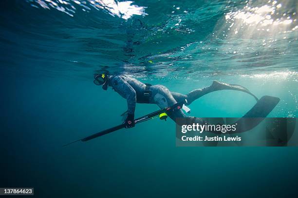 spear diver hunting in the open ocean - man spear fishing stock pictures, royalty-free photos & images