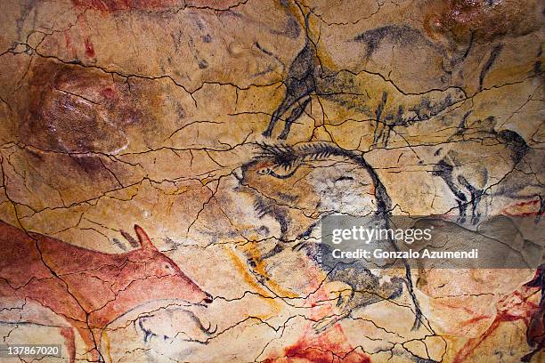 deer and bison in altamira reproduction cave. - rock art stock pictures, royalty-free photos & images