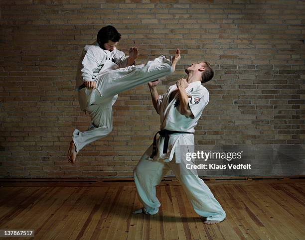 2 men practicing karate kicks - karateka photos et images de collection