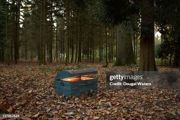 trunk in woodland with glow inside. - treasure chest stock pictures, royalty-free photos & images