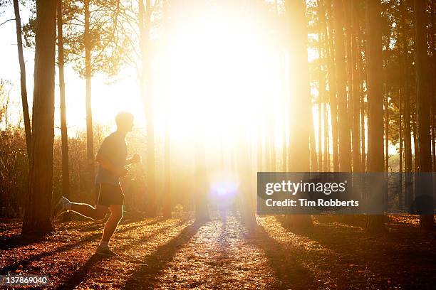 male athlete running in woods with sun. - running in the sun stock-fotos und bilder