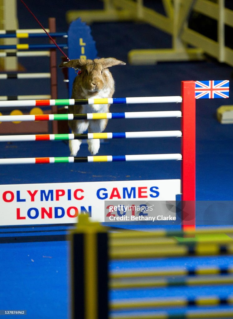 Animal Enthusiasts Enjoy The UK's Rabbit Grand National