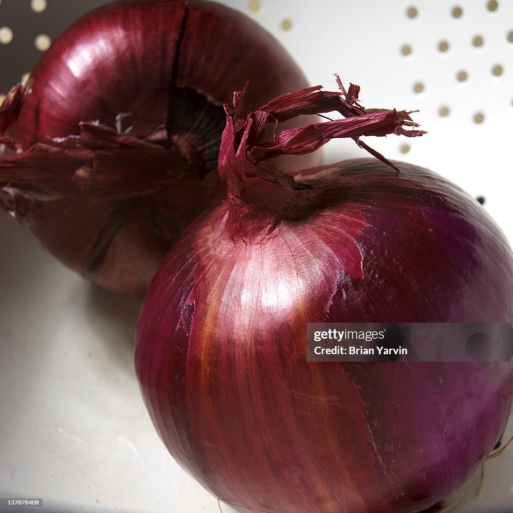 Red or "Bermuda" Onions