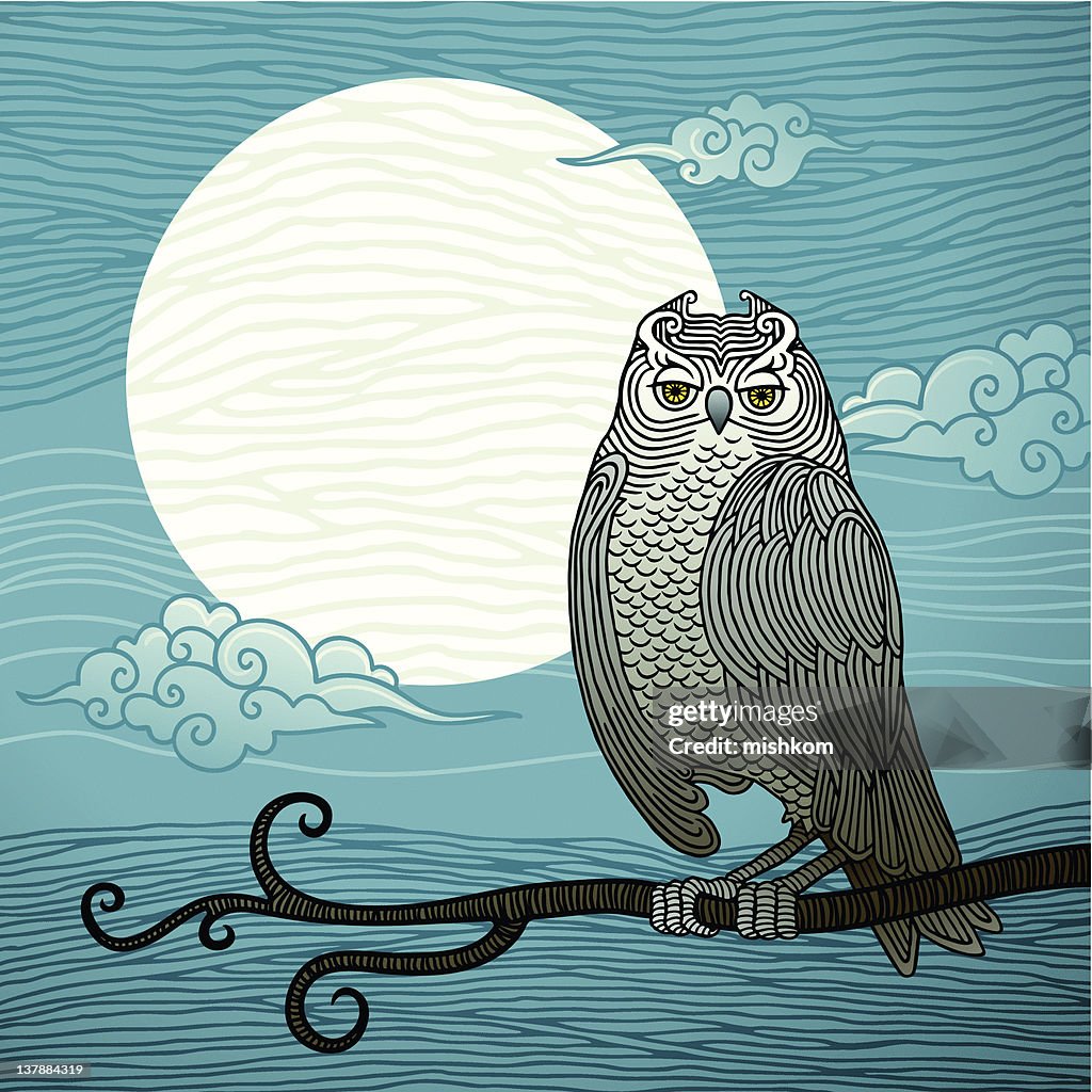 Owl and Full Moon