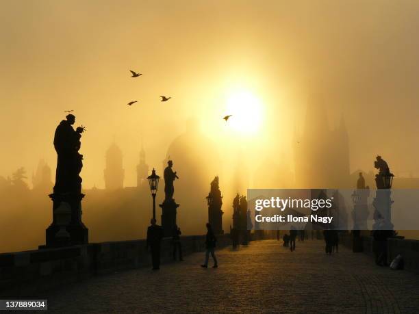 sunrise at charles bridge, prague - karluv most fotografías e imágenes de stock