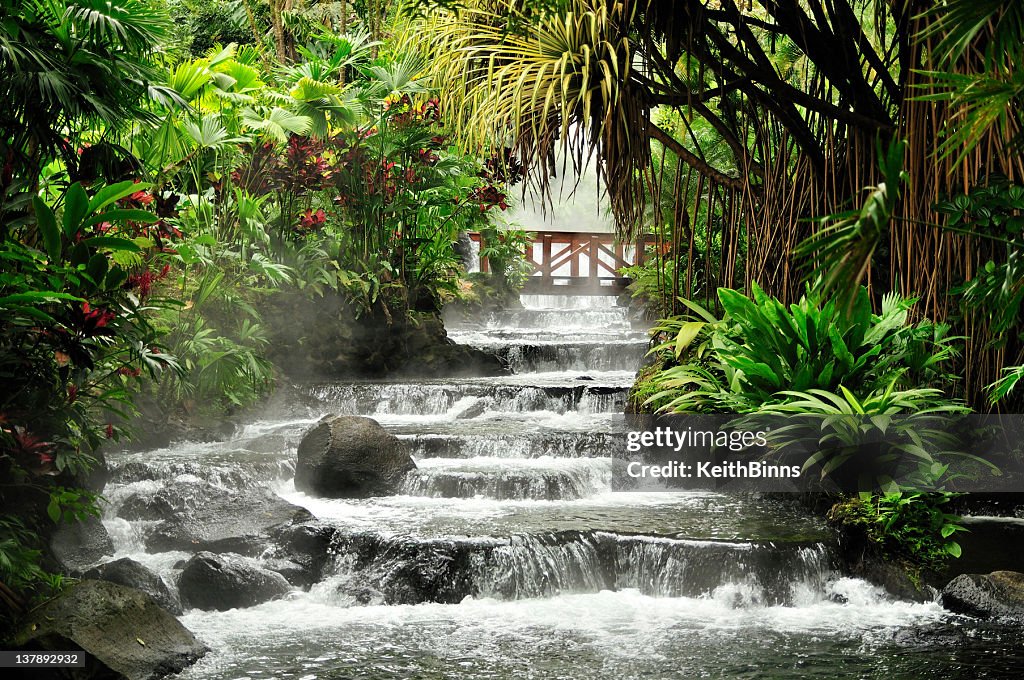 A rushing river in the tropical rainforest
