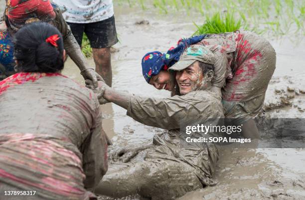 People play in muddy water in a paddy field during the National paddy day celebration. Nepalese people celebrate National Paddy Day by planting...