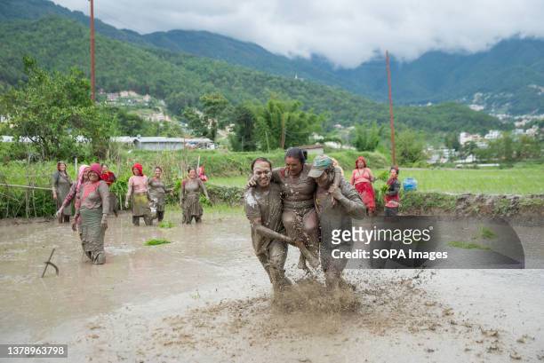 People play in muddy water in a paddy field during the National paddy day celebration. Nepalese people celebrate National Paddy Day by planting...