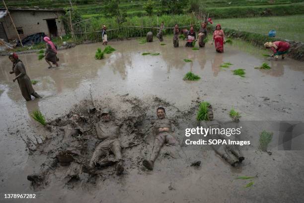 People play in muddy water in a paddy field during the National paddy day celebration. Nepalese people celebrate National Paddy Day by planting...