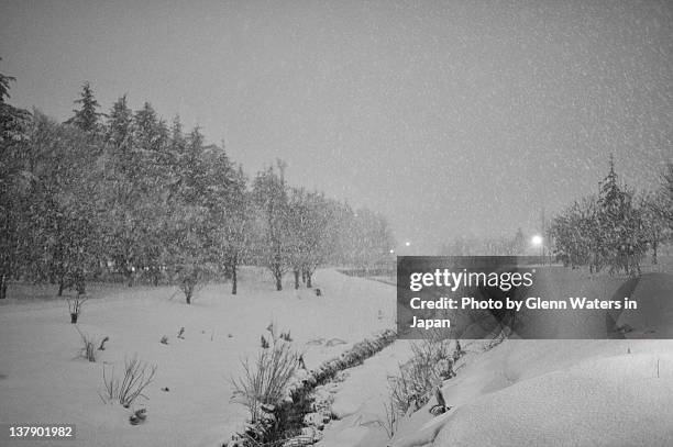 snow storm in hirosaki, japan - 青森県 ストックフォトと画像