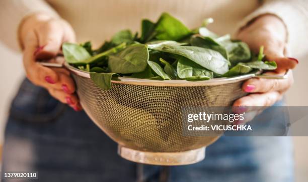 woman hand holding metal sieve with raw green spinach leaves - passoire photos et images de collection