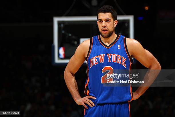Landry Fields of the New York Knicks looks on during the game against the Washington Wizards at the Verizon Center on January 6, 2012 in Washington,...