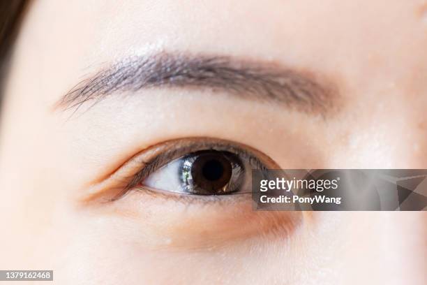 foto macro de ojo morado - eyelid fotografías e imágenes de stock