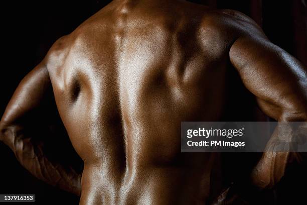 body builder's back - body muscles photos et images de collection