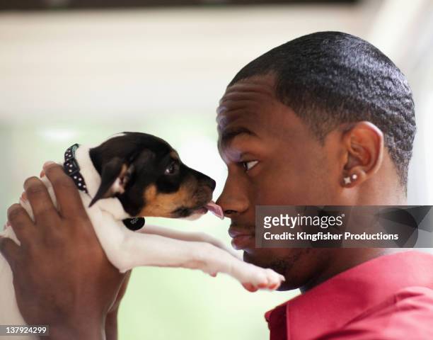 puppy licking african american man - cute dog with man stock pictures, royalty-free photos & images