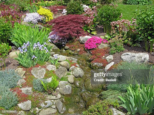 magnifique vue sur le jardin - ruisseau photos et images de collection