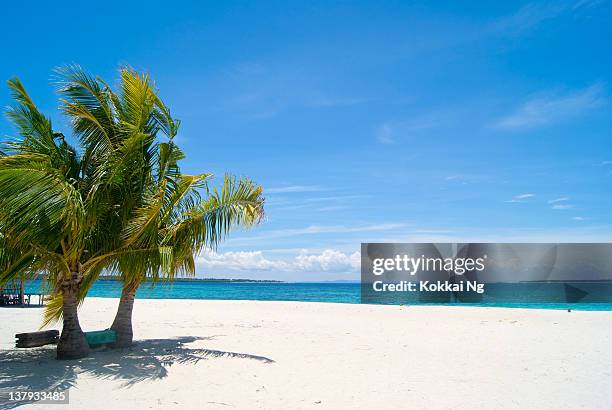 philippine beach - cebu 個照片及圖片檔