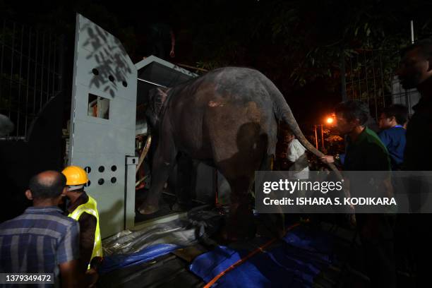 Muthu Raja 1,192 S A Raja Stock Photos, High-Res Pictures, and Images - Getty Images