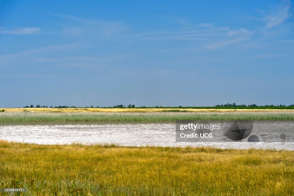 Pastures with salt efflorescence in the preservation zone of the Langen Lacke lake, Neusiedlersee _ Seewinkel National Park, Apetlon, Burgenland, Austria