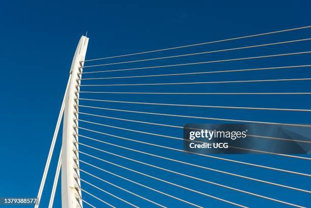 Cable-stayed Assut de l'Or Bridge, City of Arts and Sciences, Valencia, Spain.