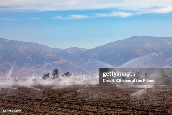 Crops being irrigated near Bakersfield Crops being irrigated near Bakersfield