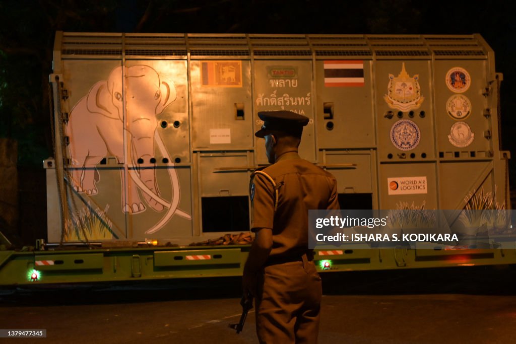 Muthu Raja Elephant Muthu Raja inside a cage travels to Airport after departure ...