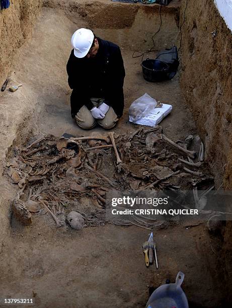 An archaeologist studies the bones of fourteen bodies of women killed by the forces of Francisco Franco in 1937 during the Spanish Civil War at a...