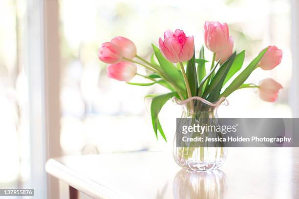 pink glass vase of pink tulips in window - gerafft stock-fotos und bilder