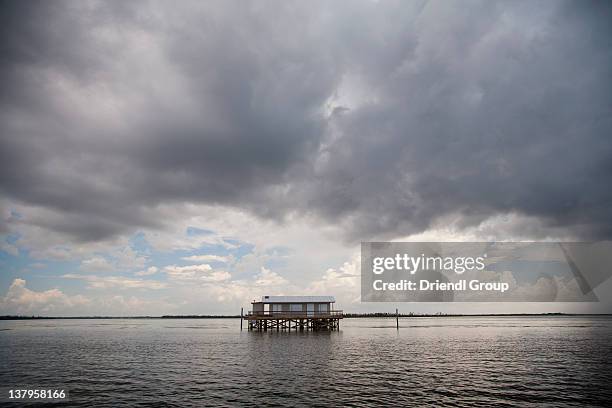 a stilt house. - cabbage key stock pictures, royalty-free photos & images