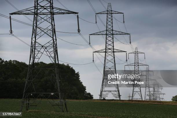 Existing pylons crossing the Norfolk countryside on July 1, 2023 in Dunstan, United Kingdom. The 50m tall pylons, proposed by the National Grid,...