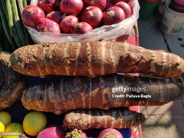Strachy Roots 15 Starchy Root Stock Photos, High-Res Pictures, and Images - Getty Images