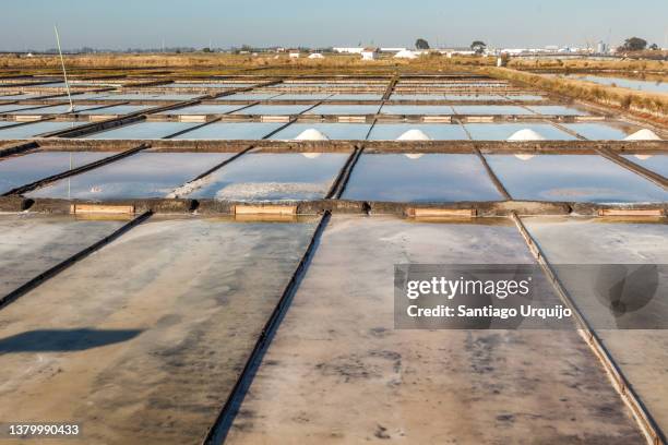 salt pans at aveiro - アヴェイロ県 ストックフォトと画像