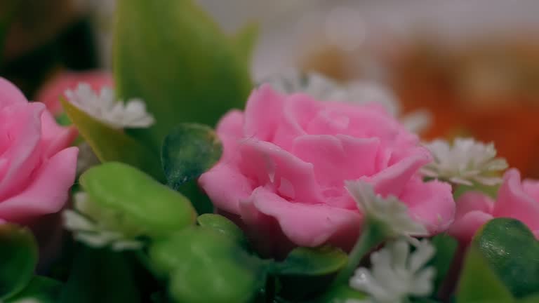 https://media.gettyimages.com/id/1380193730/video/white-and-pink-roses-in-close-up.jpg?b=1&s=640x640&k=20&c=ZCvL5PI9zeC94qaAHZa5RbQwT7hKZMsLKImv4NkpK1U=