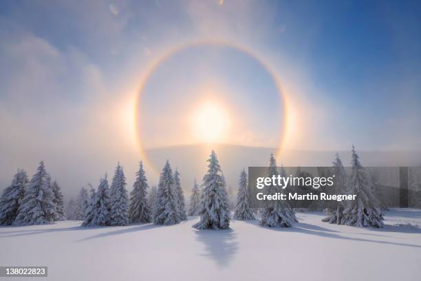 halo (icebow or gloriole). - winter and sun stockfoto's en -beelden