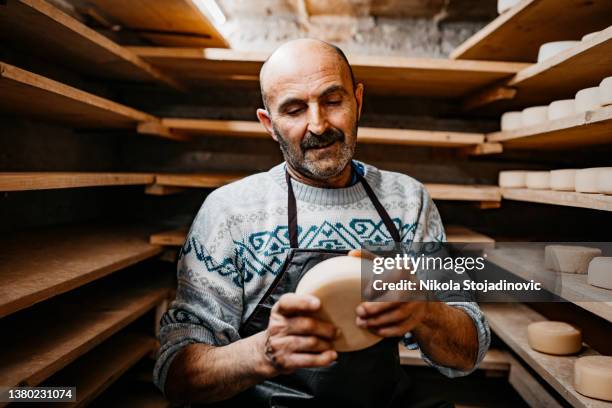 senior männlicher milchvieharbeiter, der ziegenkäse im keller inspiziert - food factory stock-fotos und bilder