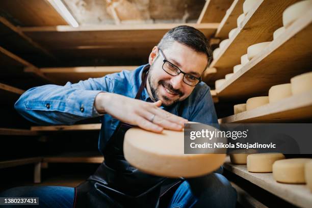 man cheesemaker in the cellar, beautiful wooden shelves with a ready cheese circle - cheese maker stock pictures, royalty-free photos & images