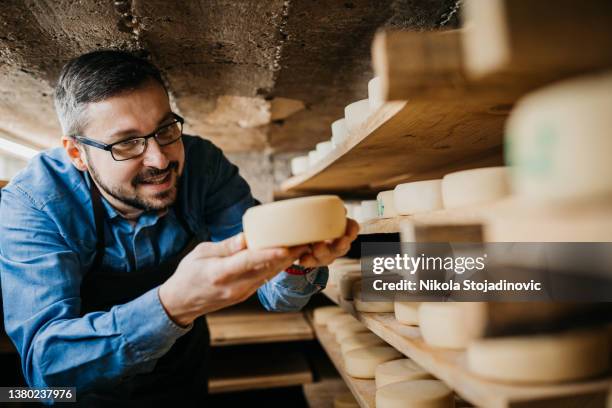 handsome cheesemaker is checking cheeses in his workshop storage - curd cheese stock pictures, royalty-free photos & images