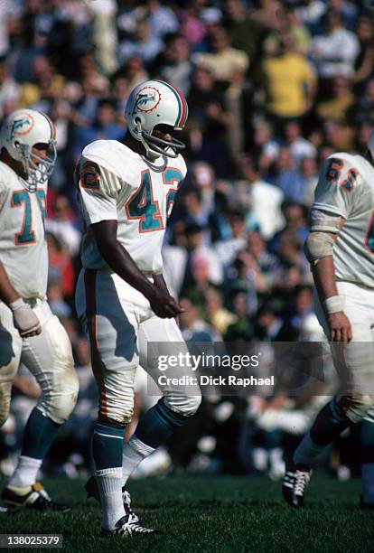 Miami Dolphins Paul Warfield on field during game vs Boston Patriots at Harvard Stadium. Boston, MA 9/20/1970 CREDIT: Dick Raphael