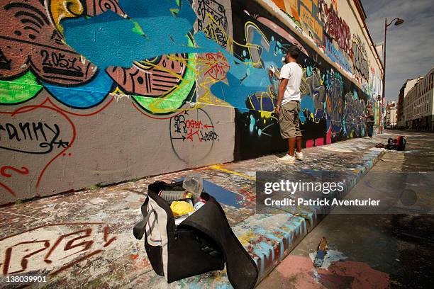 General view of graffiti street art covering the main wall of the old Central Bus station at Rue des Pyrenees on January 7, 2012 in Paris, France....