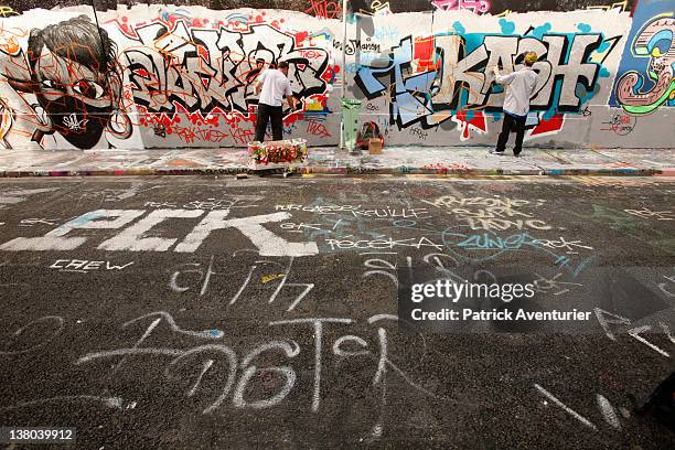 General view of graffiti street art covering the main wall of the old Central Bus station at Rue des Pyrenees on January 7, 2012 in Paris, France....