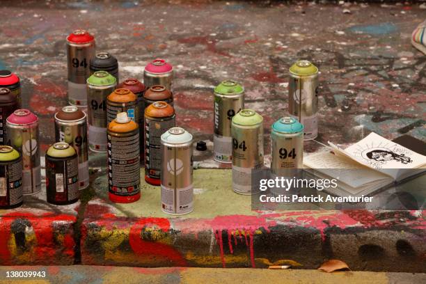 General view of graffiti street art covering the main wall of the old Central Bus station at Rue des Pyrenees on January 7, 2012 in Paris, France....