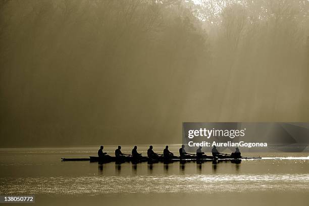 piragüismo en equipo - rowing fotografías e imágenes de stock