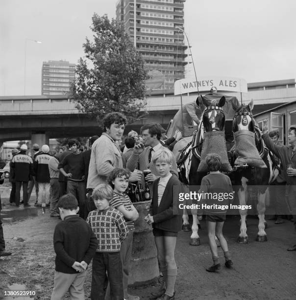 Westway Flyover, A40, Kensington and Chelsea, London, . Watney's dray horses eating from nosebags during the celebration for the opening of the...
